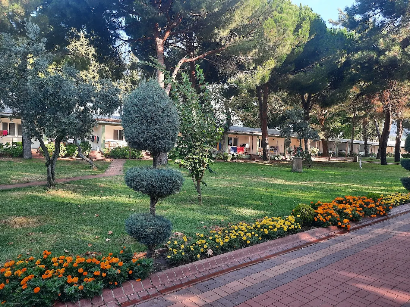 Erdek Özel Eğitim Merkezi (Askeri Kamp) - Fotoğraf 5
