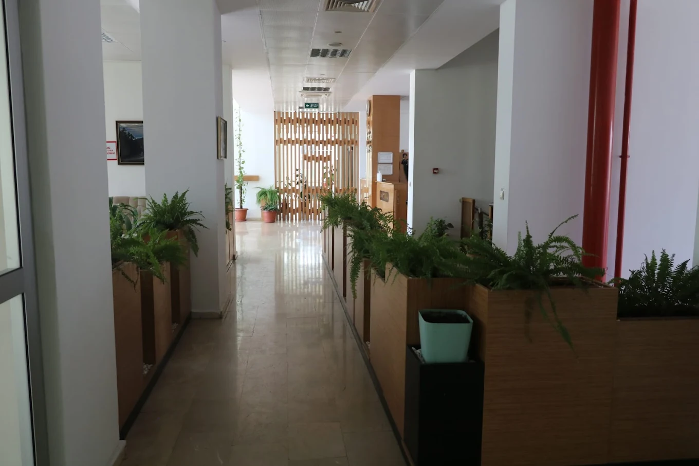 Osmaniye Jandarma Gazinosu - Fotoğraf 7