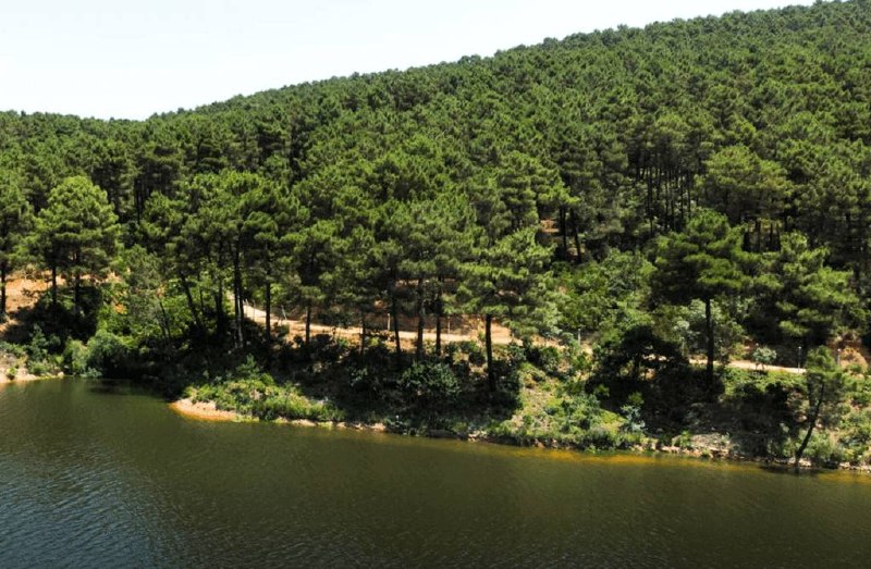 Sultanbeyli Aydos Sosyal Tesisi - Fotoğraf 11