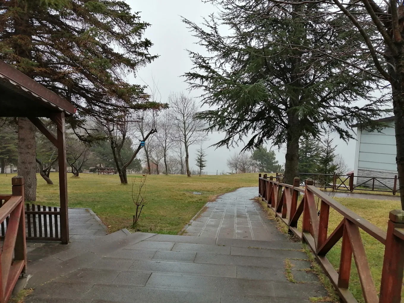 Bolu DSİ Misafirhanesi - Fotoğraf 2