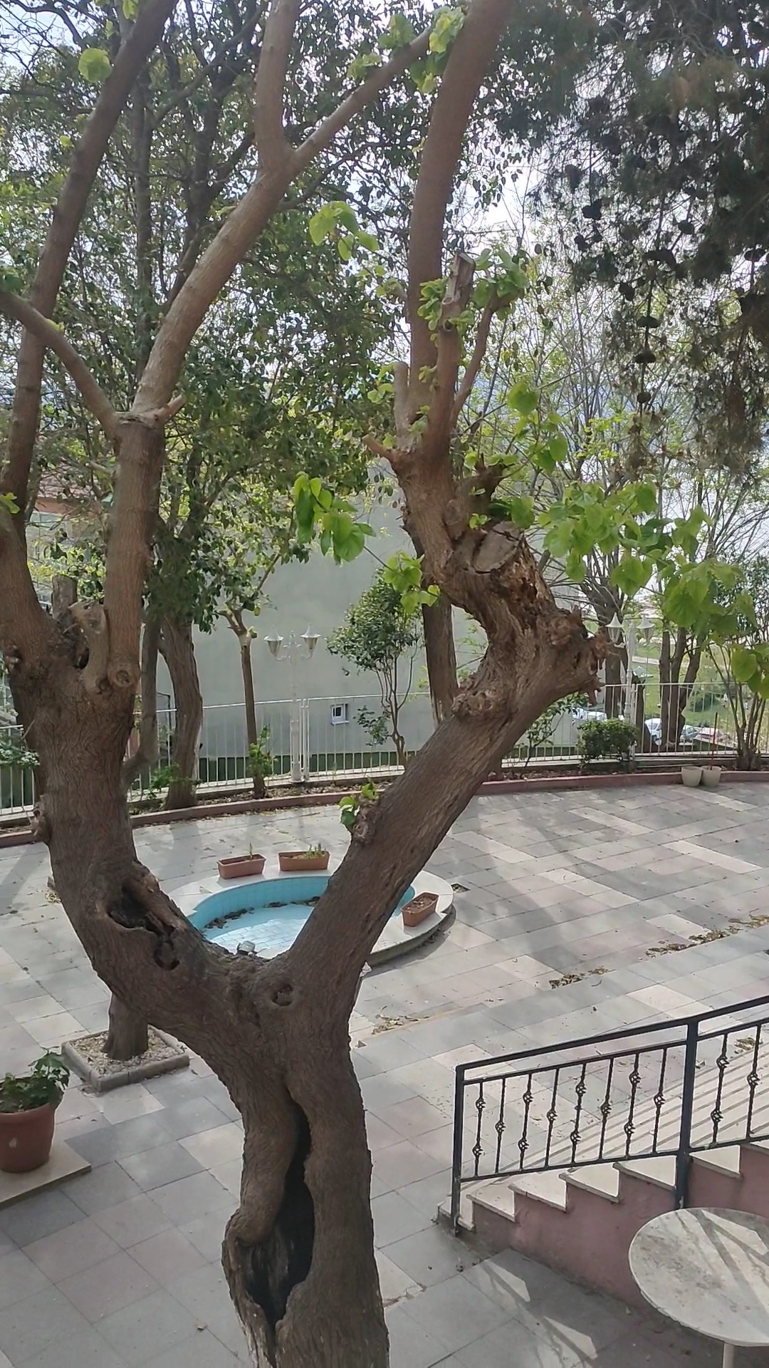 Öğretmenevi ve Akşam Sanat Okulu - Fotoğraf 3