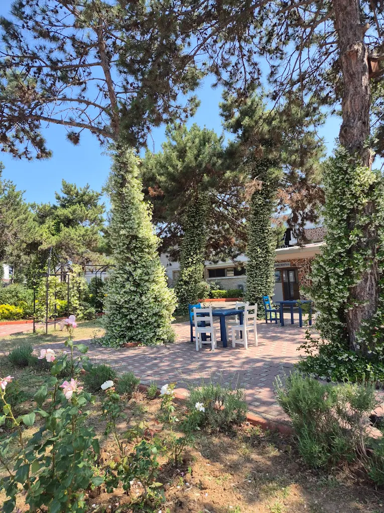 İstanbul Tuzla Özel Eğitim Merkezi - Fotoğraf 4