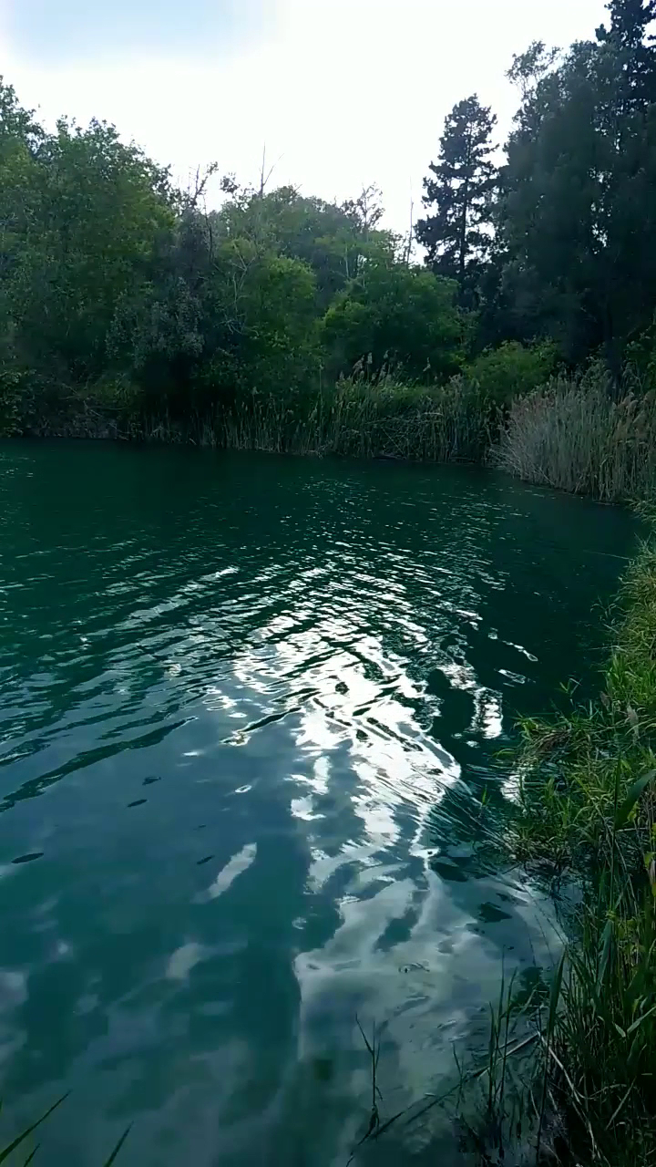 Adana TEDAŞ Misafirhanesi - Fotoğraf 2