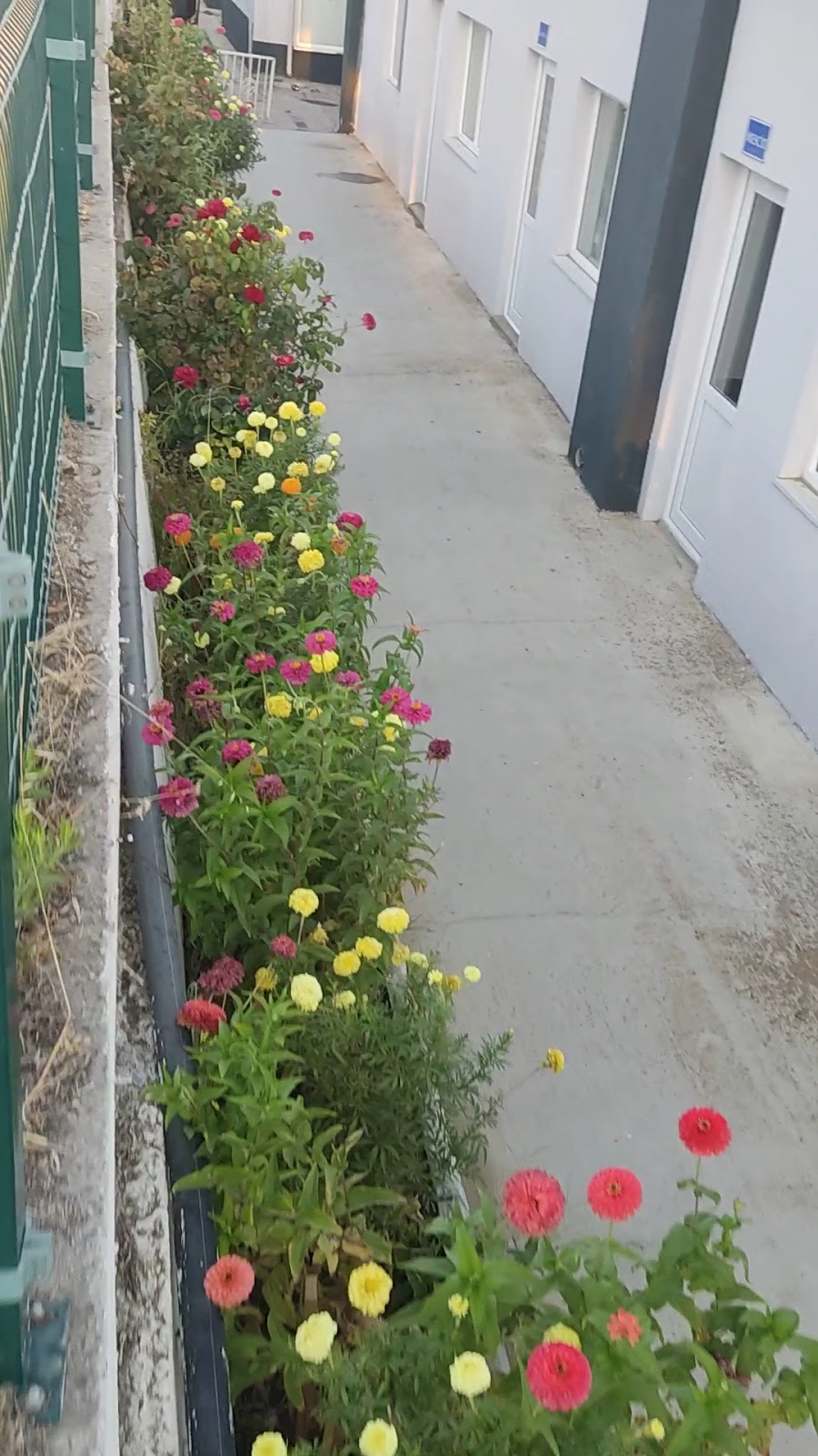 Edremit Altınoluk Öğretmenevi ve Akşam Sanat Okulu - Fotoğraf 3