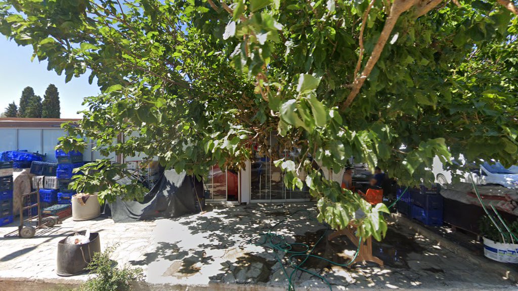 Aydın Akbük Özel Eğitim Merkezi (Kamp) - Fotoğraf 2