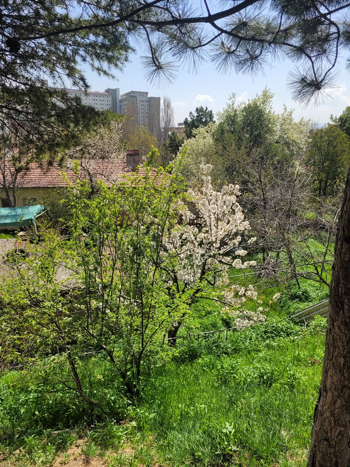 Başkent Öğretmenevi ve Akşam Sanat Okulu - Fotoğraf 2