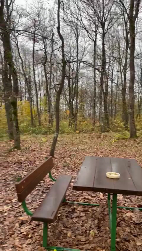 Bolu Abant İzzet Baysal Üniversitesi Sosyal Tesisleri - Fotoğraf 3