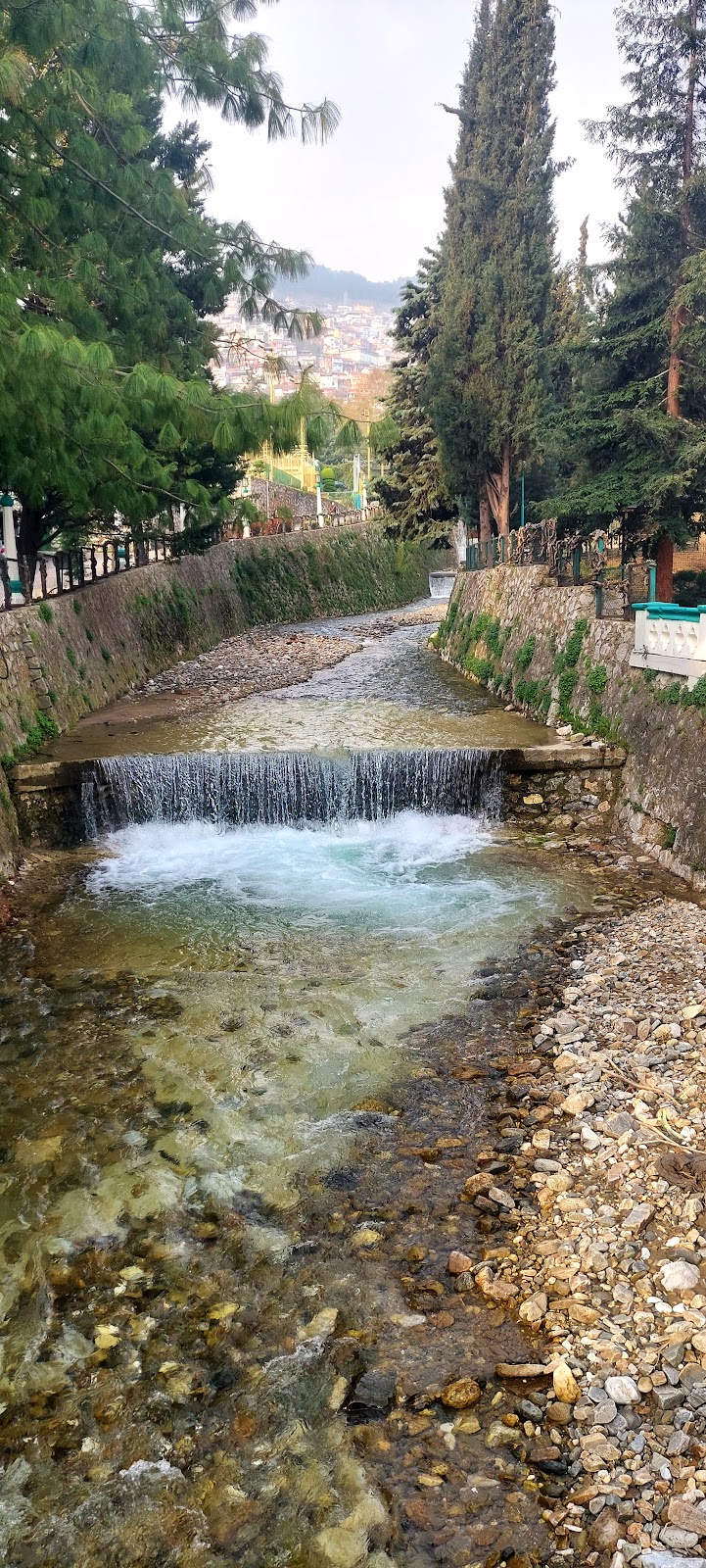 Bursa DSİ 1. Bölge Müdürlüğü Misafirhanesi - Fotoğraf 3
