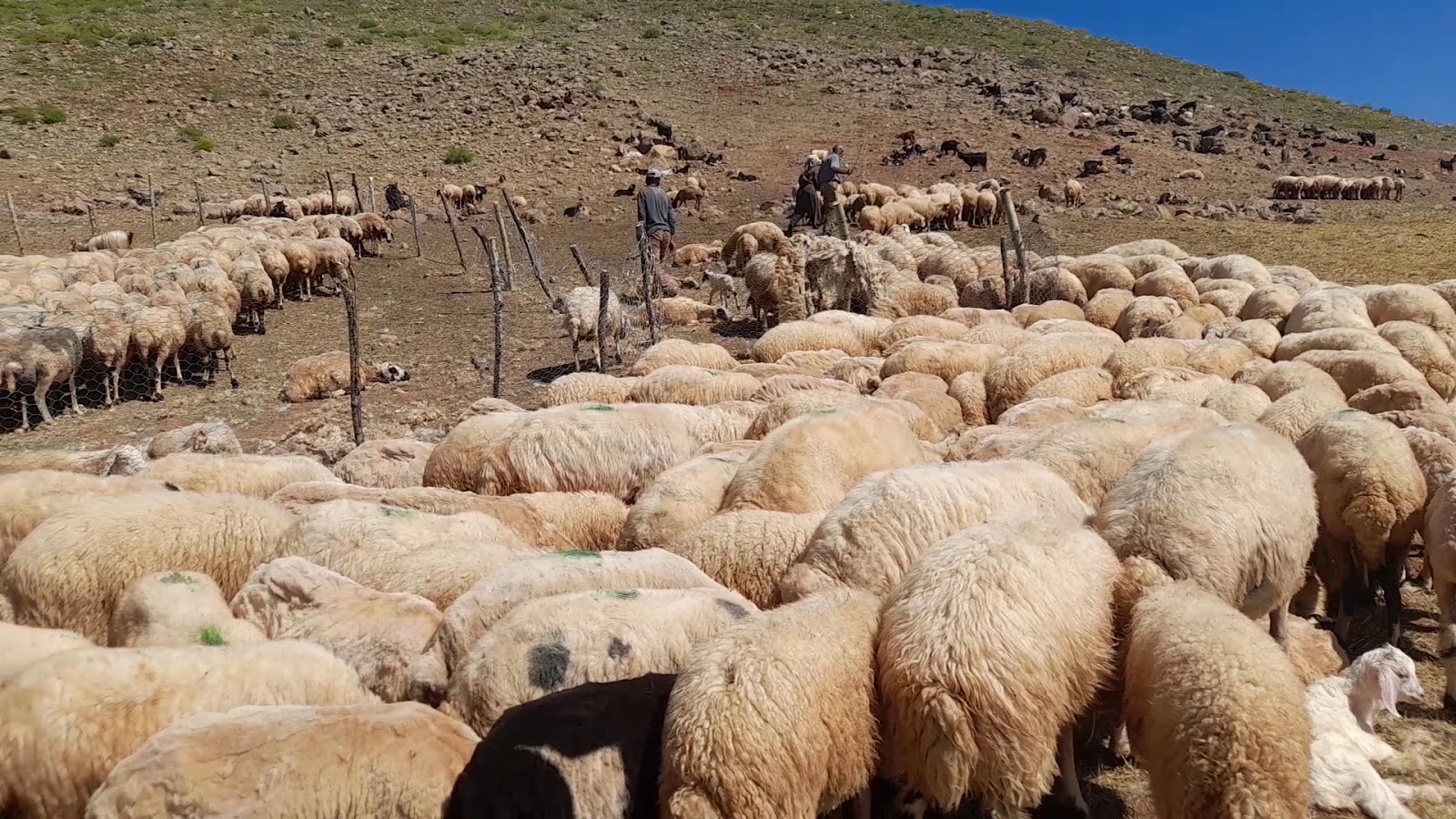 Çemişgezek Öğretmenevi - Fotoğraf 5