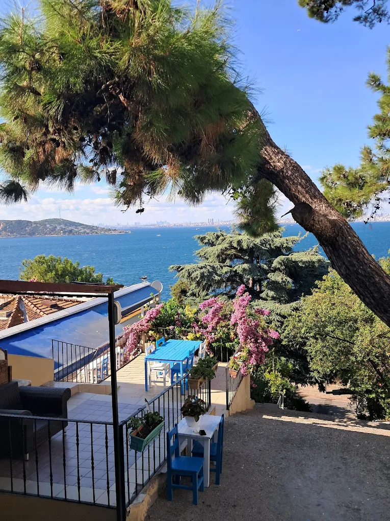 Adalar Burgazada Öğretmenevi ve Akşam Sanat Okulu - Fotoğraf 6