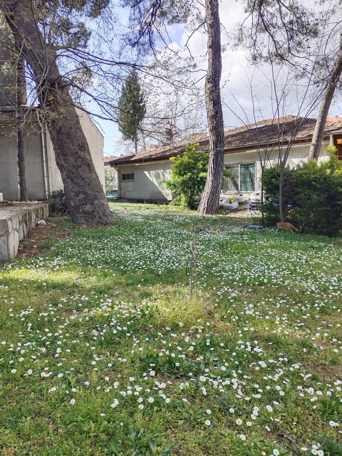 Denizli Askeri Gazinosu - Fotoğraf 5
