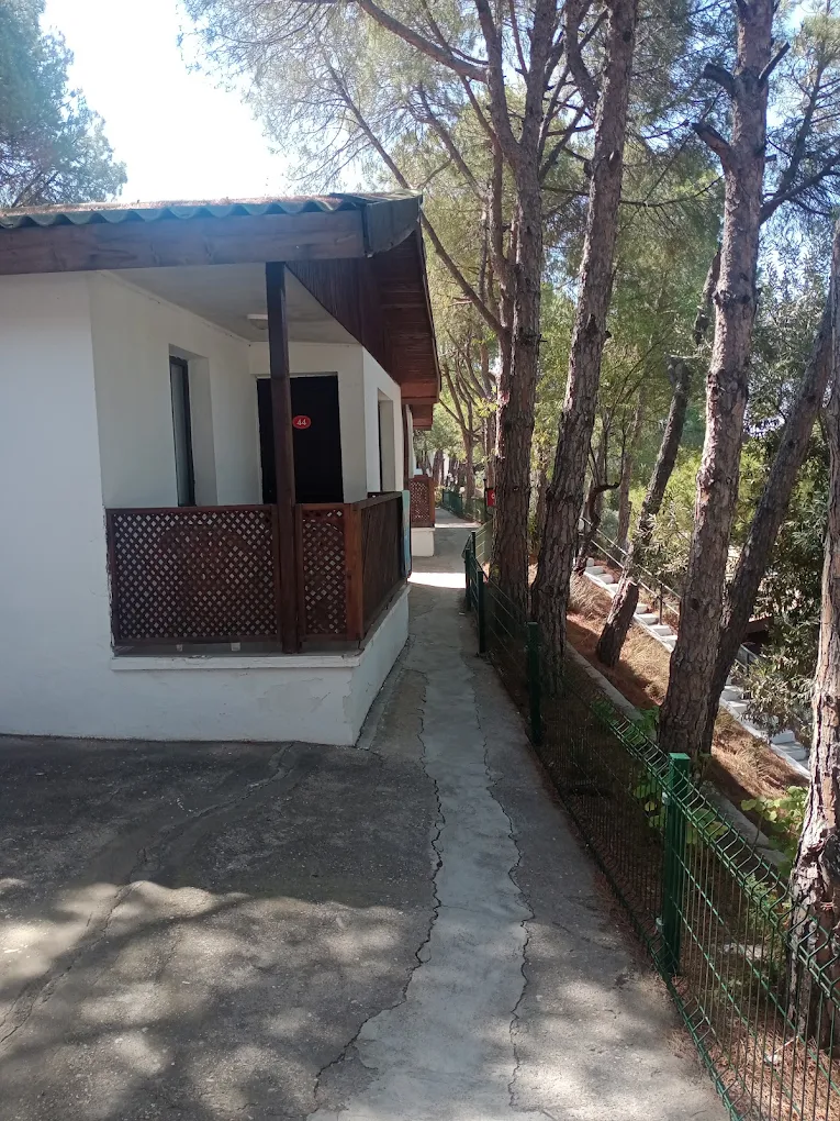 Tarım ve Orman Bakanlığı Foça Sosyal Tesisleri - Fotoğraf 3