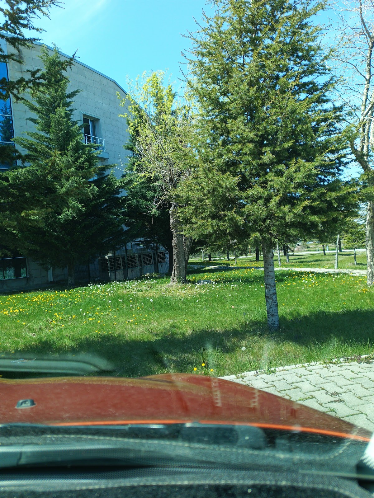 Erciyes Üniversitesi Konukevi - Fotoğraf 5