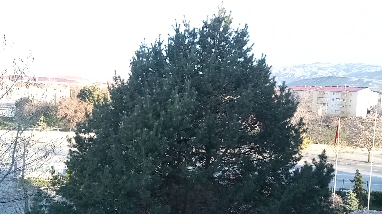 Erzincan Öğretmenevi ve Akşam Sanat Okulu - Fotoğraf 3