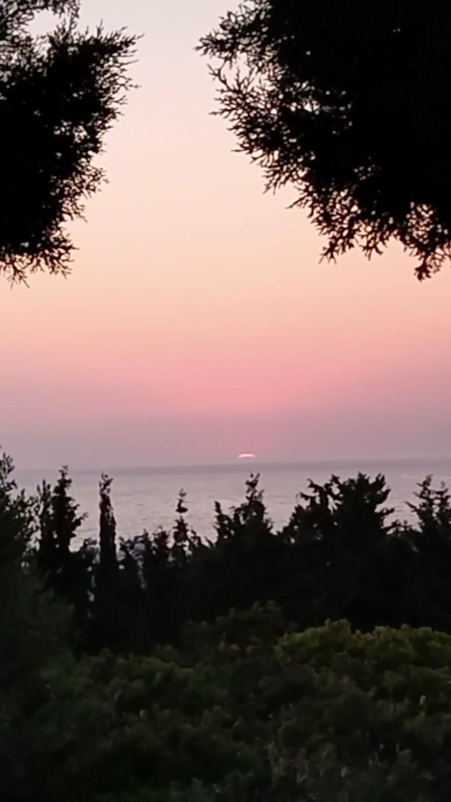 Eti Maden Didim Sosyal Tesisi - Fotoğraf 3