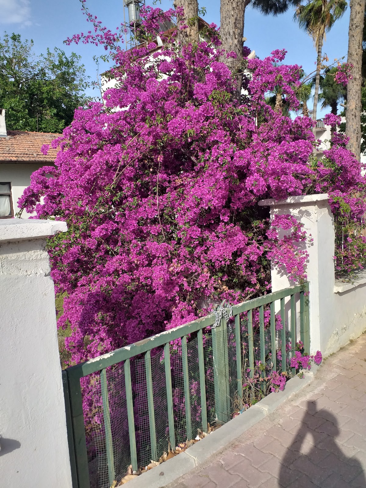 Finike Meteoroloji Misafirhanesi - Fotoğraf 5