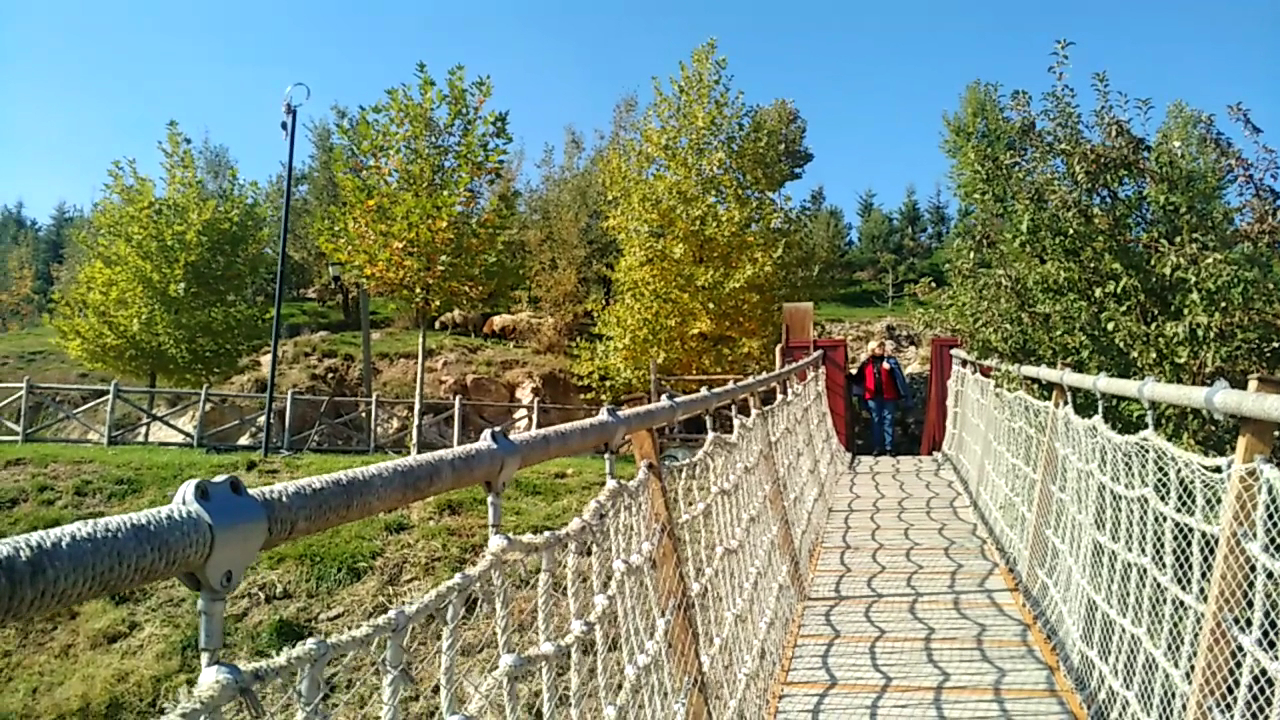 JVS Altınköy Kahvaltı Salonu - Fotoğraf 4