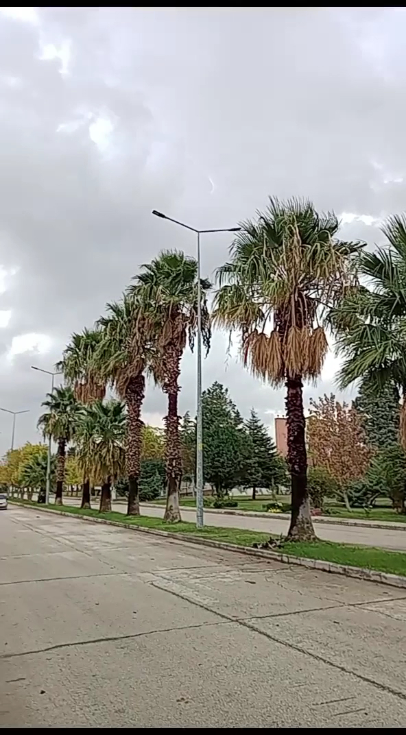 Kahramanmaraş DSİ Misafirhanesi - Fotoğraf 4
