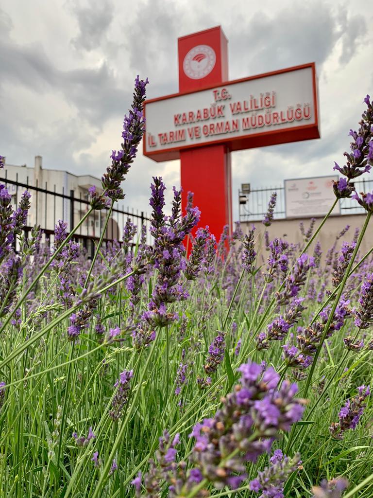 Karabük Orman İşletme Müdürlüğü Misafirhanesi - Fotoğraf 5