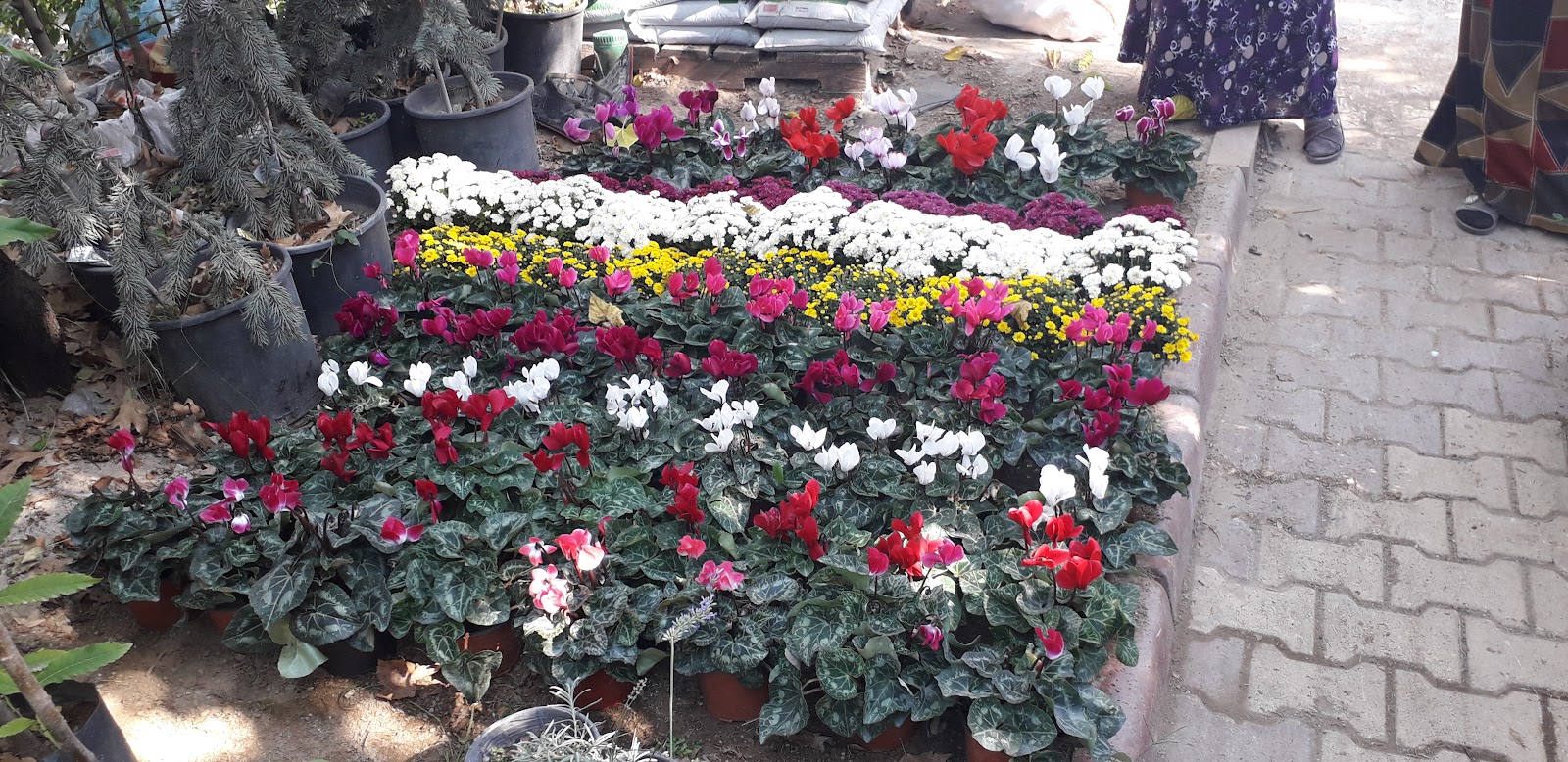 Konya Fidanlık Misafirhanesi - Fotoğraf 5