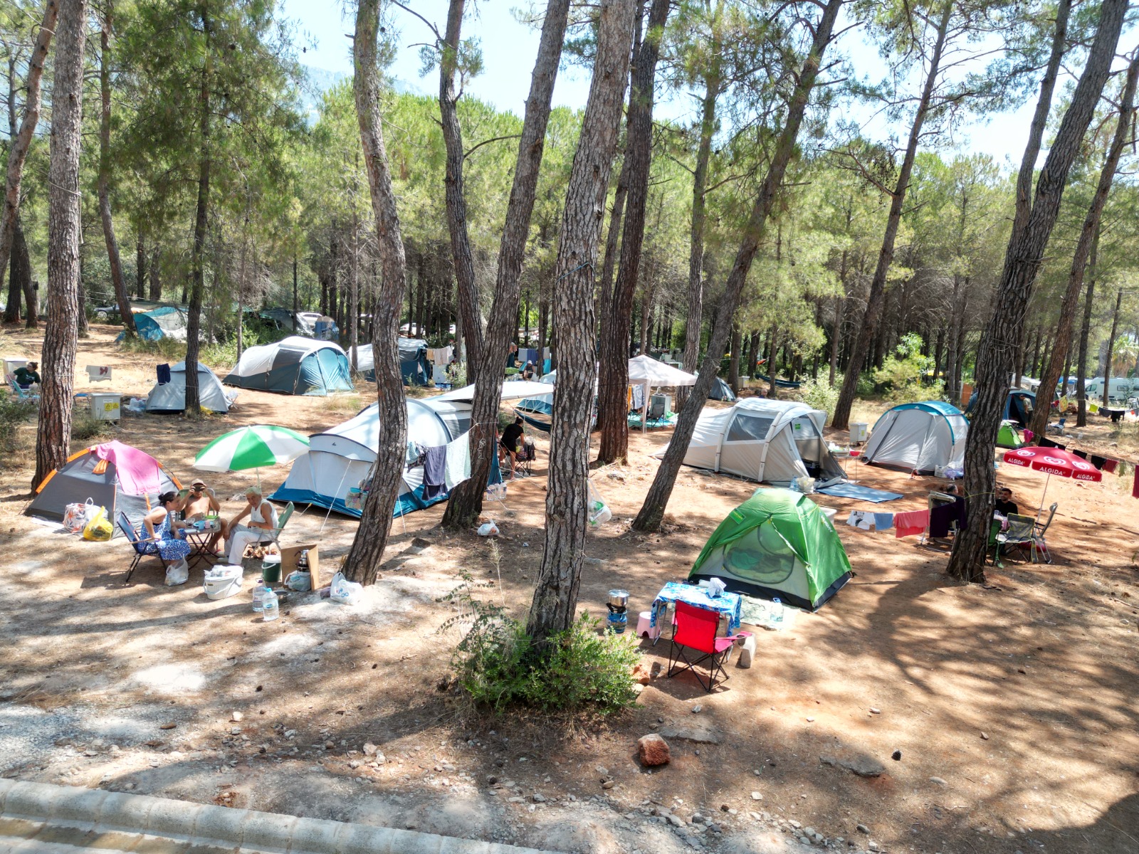 Muğla Vakfı Gökova Konaklamalı Orman Parkı (Akyaka Orman Parkı) - Fotoğraf 5