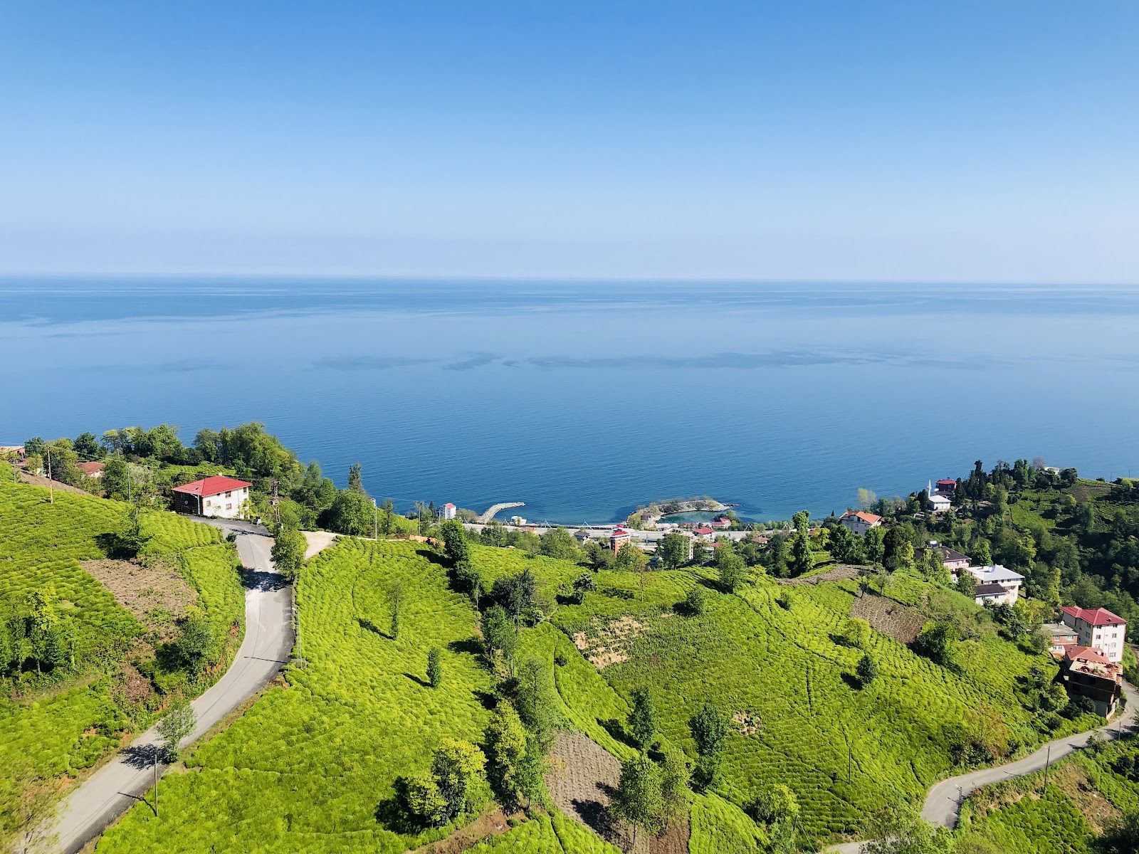 Şehit Altuğ Verdi Rize Polisevi - Fotoğraf 2