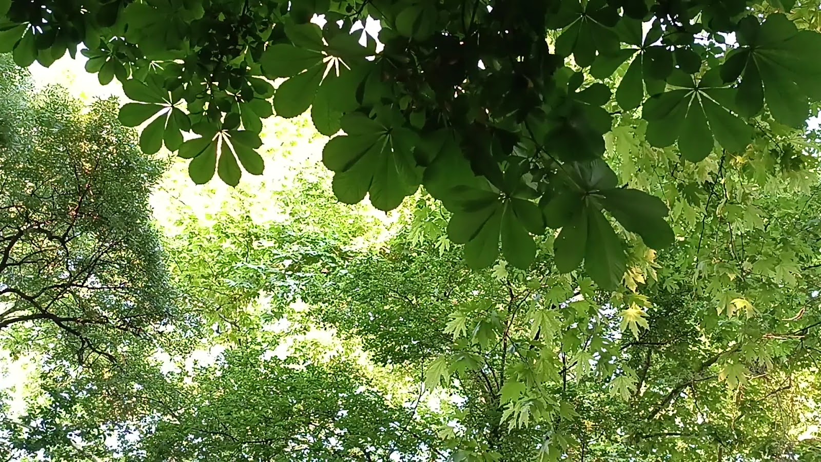 Sakarya Adapazarı Orduevi - Fotoğraf 4