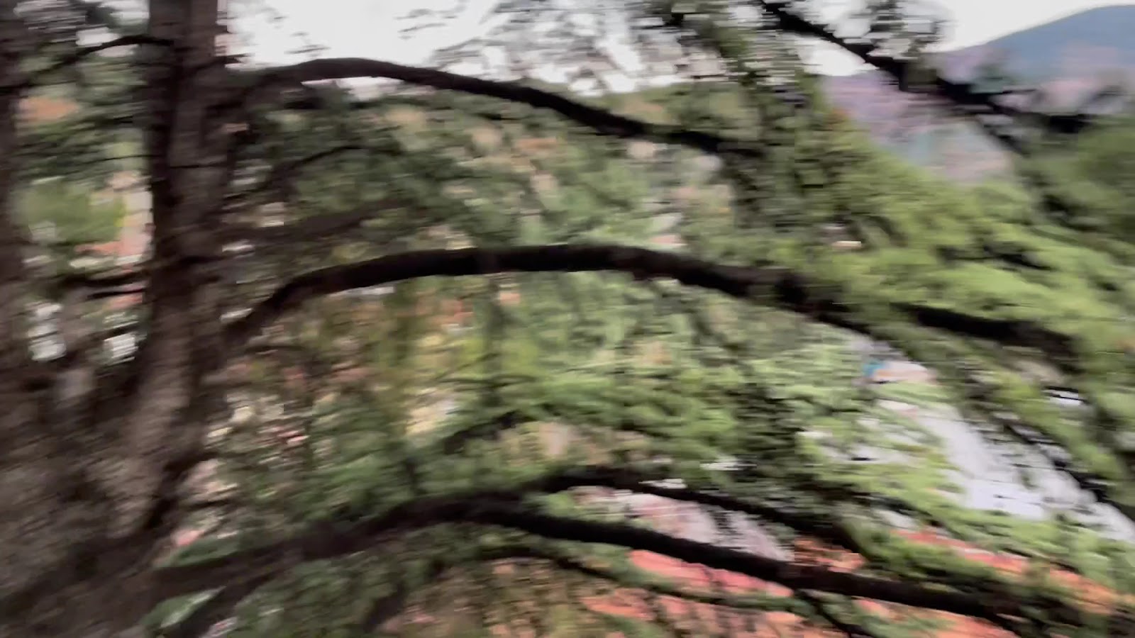 Şaphane Öğretmenevi ve Akşam Sanat okulu Müdürlüğü - Fotoğraf 3