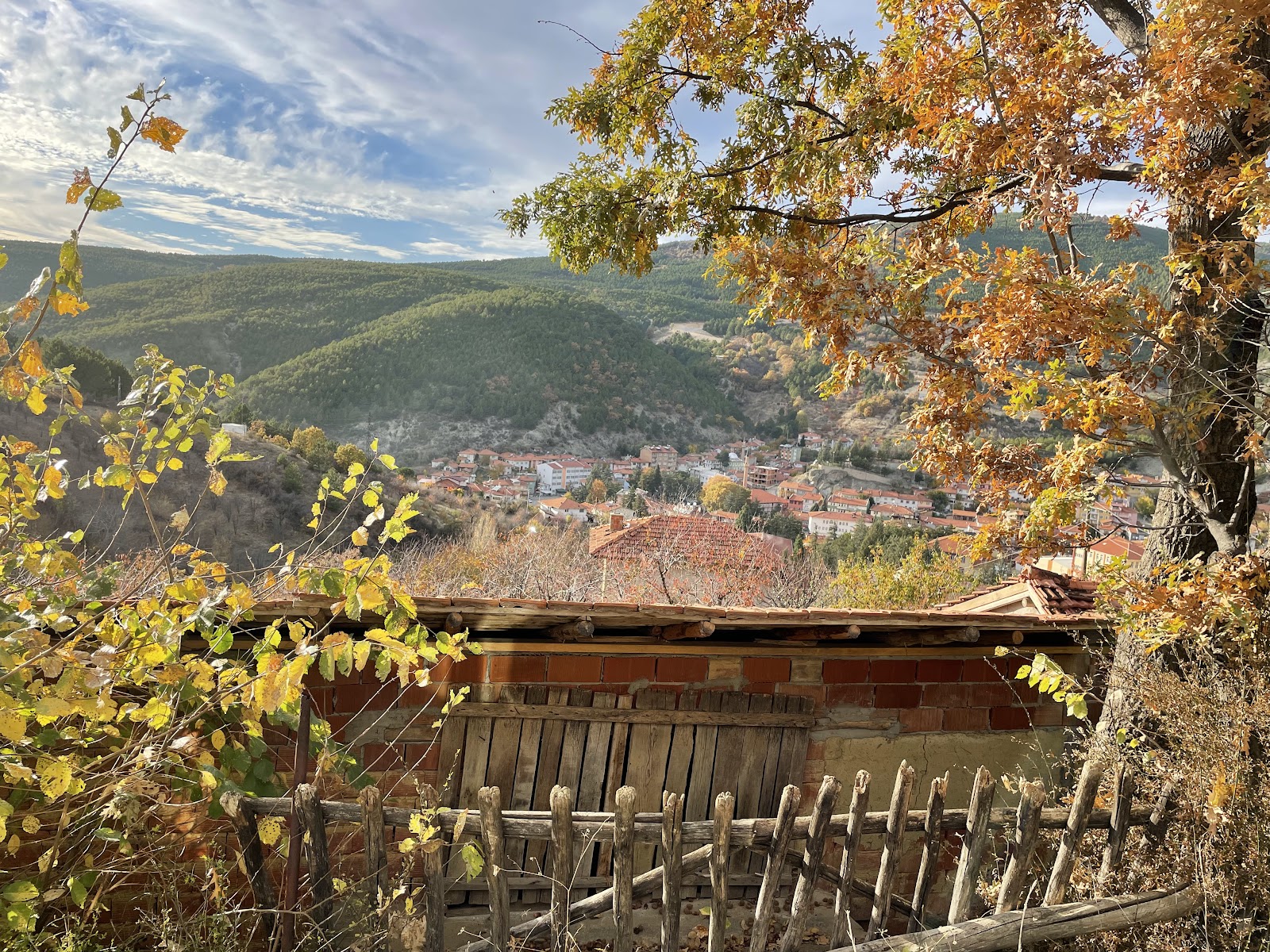 Şaphane Öğretmenevi ve Akşam Sanat okulu Müdürlüğü - Fotoğraf 4