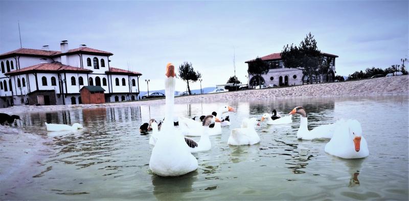 Kastamonu Şehit Şerifebacı Öğretmenevi ve Akşam Sanat Okulu - Fotoğraf 4