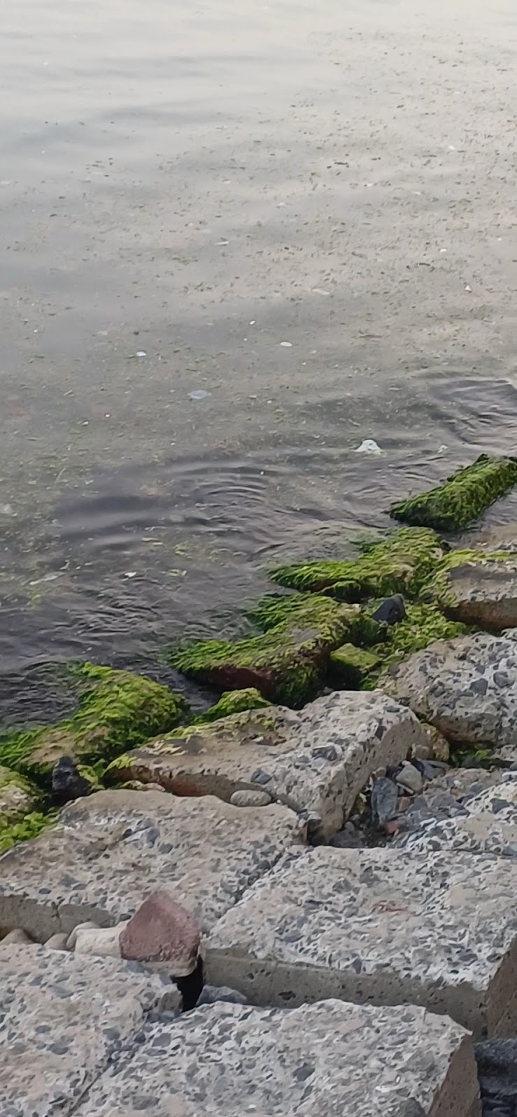 Tekirdağ Askeri Gazinosu Orduevi - Fotoğraf 3