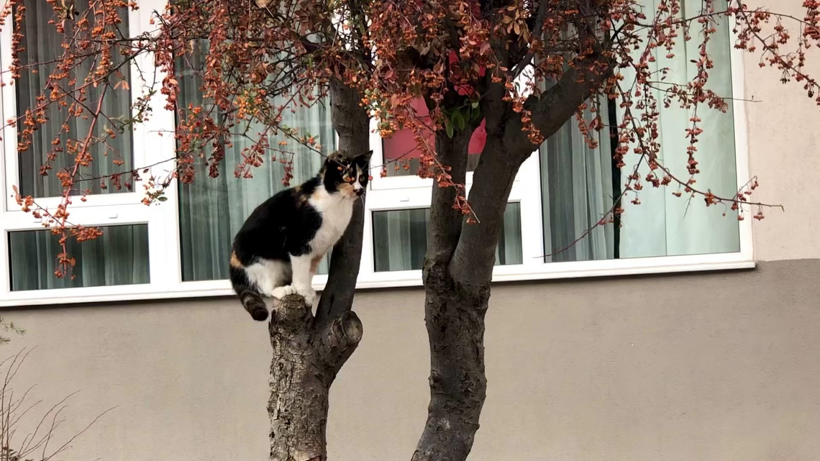 Zonguldak Amele Birliği Misafirhanesi - Fotoğraf 4