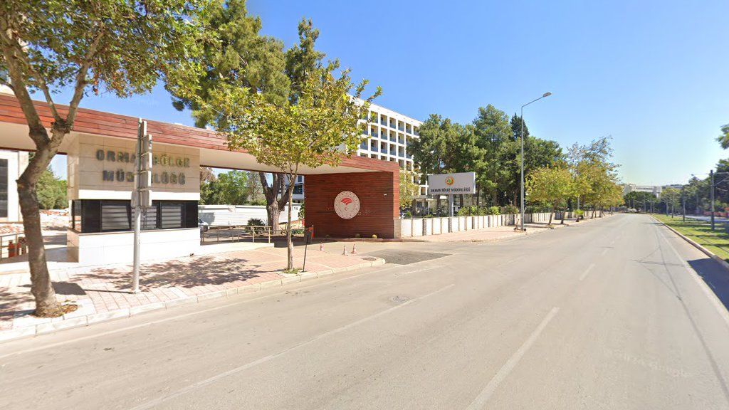 Orman Müdürlüğü Misafirhanesi dış cephe veya tesis görseli