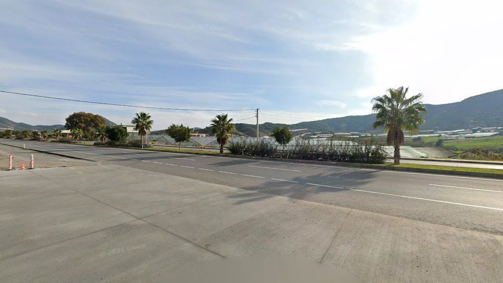 Gazipaşa Belediyesi Tatil ve Dinlenme Tesisleri Misafirhanesi dış cephe veya tesis görseli