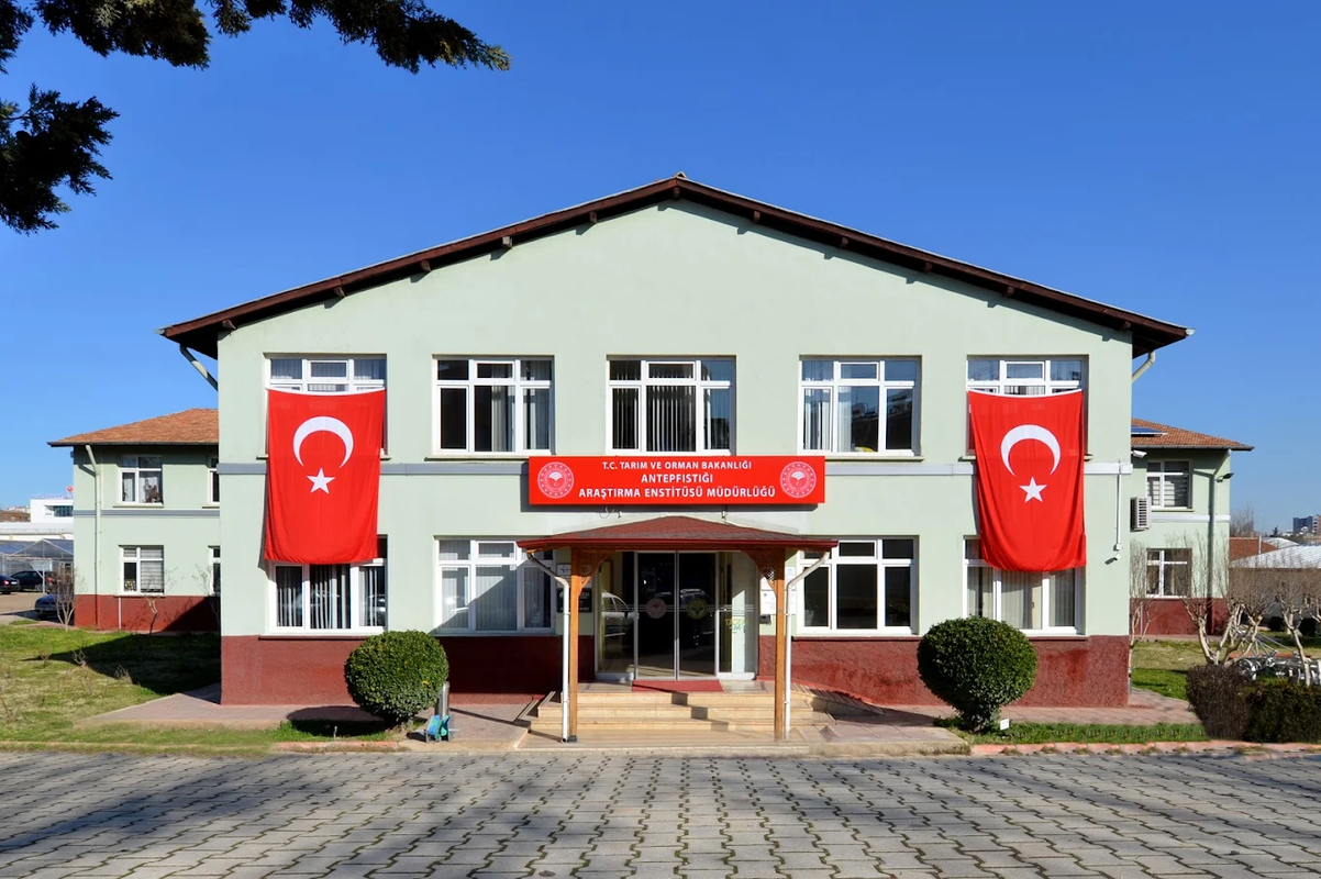 Antepfıstığı Araştırma Enstitüsü Misafirhanesi fotoğrafı