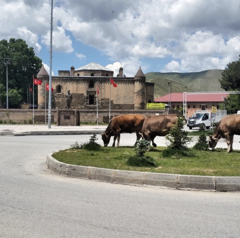 Tatvan Orduevi fotoğrafı