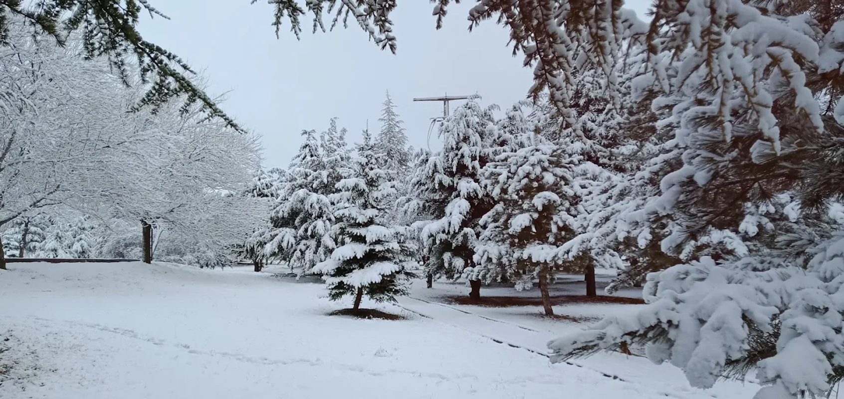 Etimesgut BOTAŞ Misafirhanesi fotoğrafı