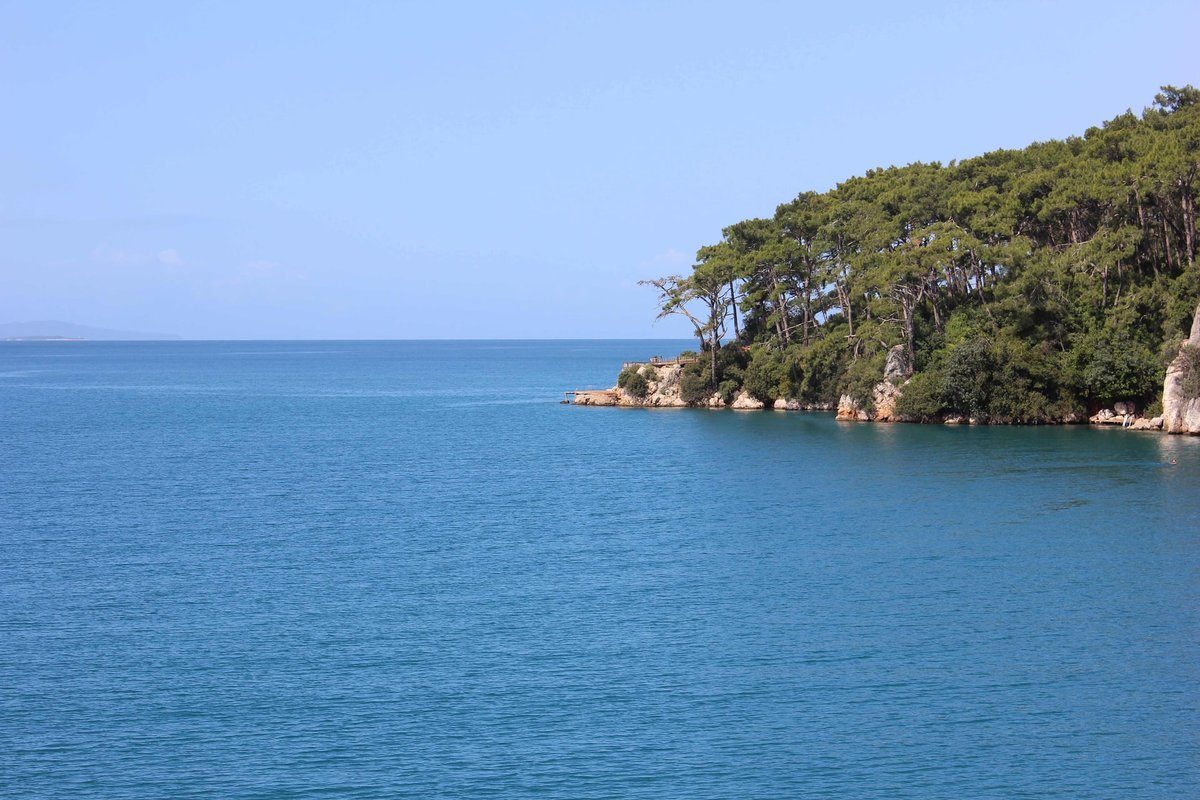 Muğla Vakfı Gökova Konaklamalı Orman Parkı (Akyaka Orman Parkı) fotoğrafı