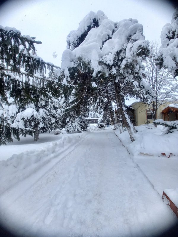 Yozgat DSİ Misafirhanesi fotoğrafı
